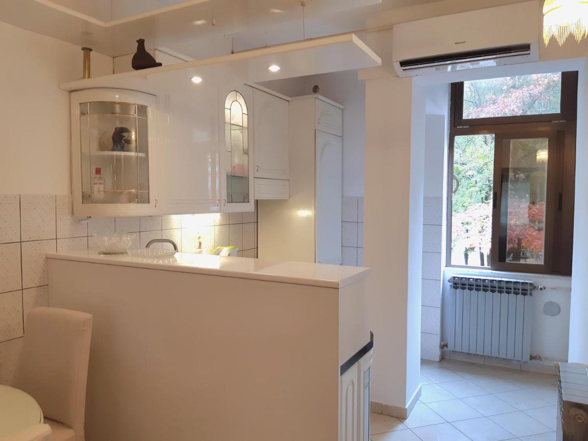 My Miracle Apartment 萨格勒布 外观 照片